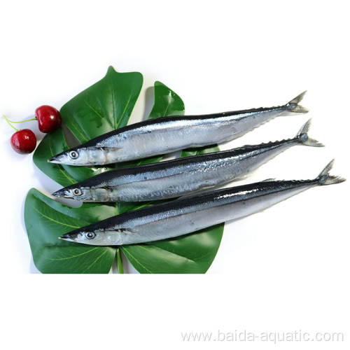 Canned Fish Saury In Oil